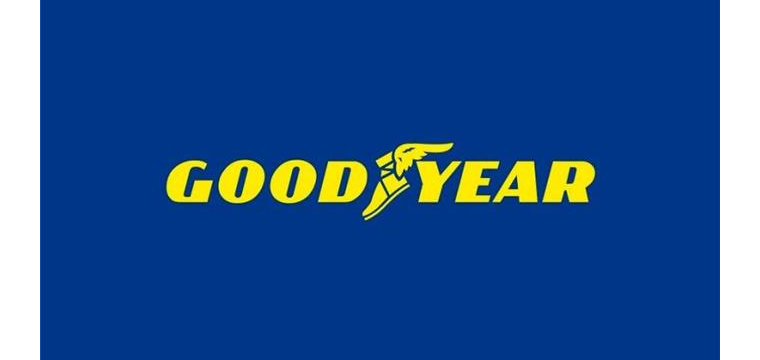 グッドイヤーのサマータイヤ一覧